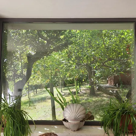 Nonno Pierino Maison d'hôtes Civitella Casanova