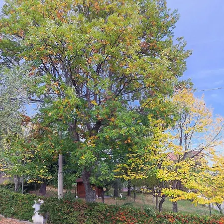 Nonno Pierino Pensión Civitella Casanova