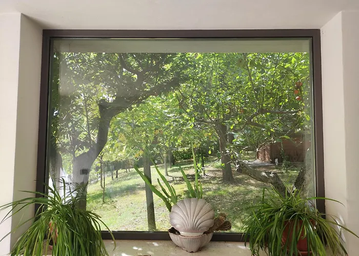 Nonno Pierino Maison d'hôtes Civitella Casanova