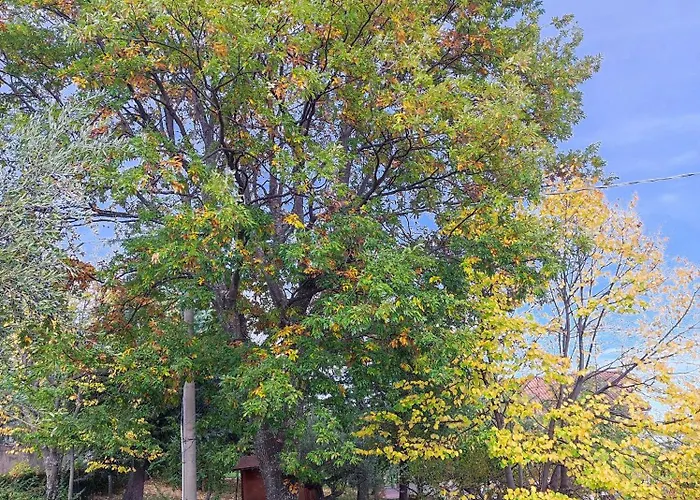 Nonno Pierino Maison d'hôtes Civitella Casanova